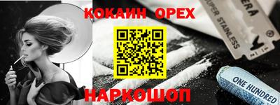 индика Можга