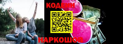 индика Можга