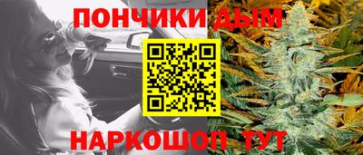 индика Можга