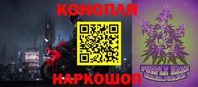 индика Можга