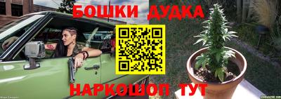 индика Можга
