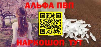 индика Можга