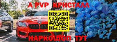 индика Можга