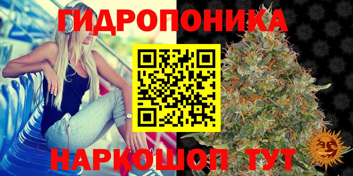 Каннабис планчик Выкса